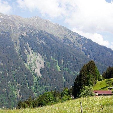 فيلا Alpenapart Montafon - Bitschweil Huesle شرنز المظهر الخارجي الصورة