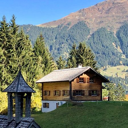 فيلا Alpenapart Montafon - Bitschweil Huesle شرنز المظهر الخارجي الصورة