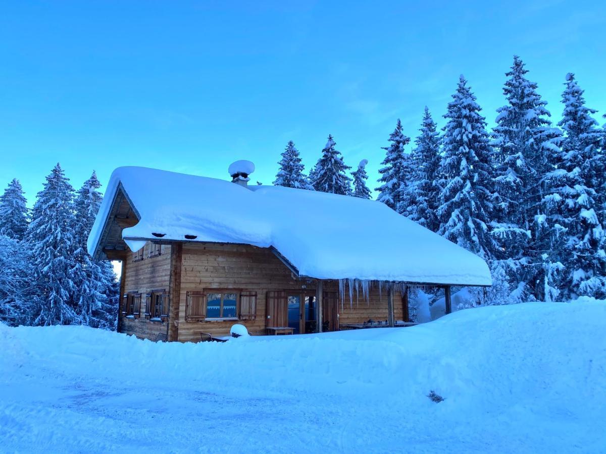 فيلا Alpenapart Montafon - Bitschweil Huesle شرنز المظهر الخارجي الصورة