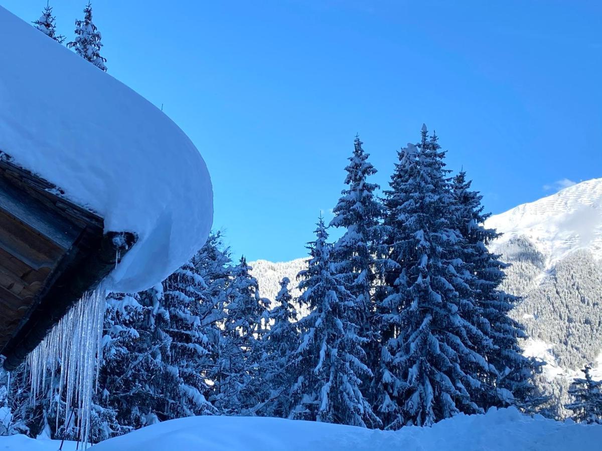 فيلا Alpenapart Montafon - Bitschweil Huesle شرنز المظهر الخارجي الصورة